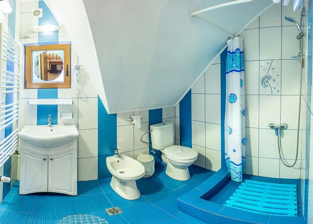 Pensiunea Casa Verde Bucuresti Bucharest