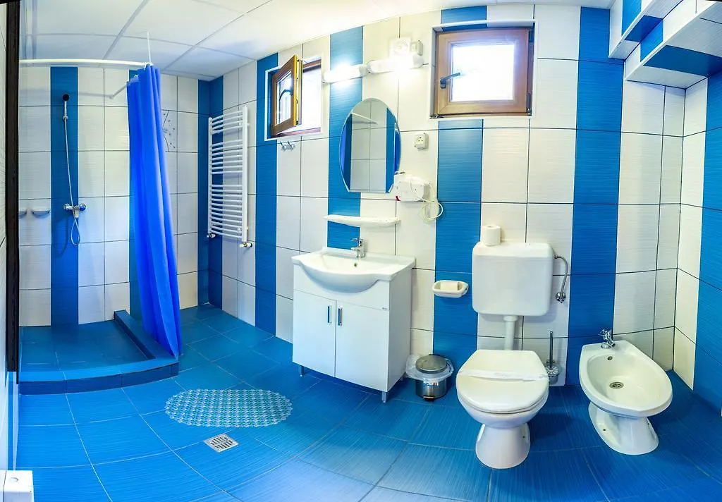 Pensiunea Casa Verde Bucuresti Guest house Bucharest