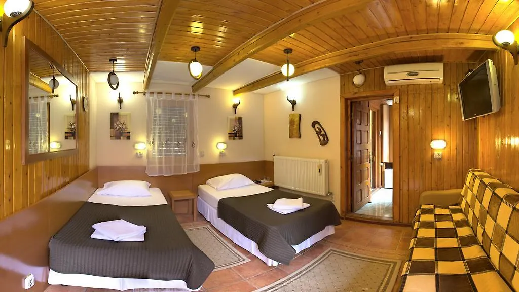 Guest house Pensiunea Casa Verde Bucuresti