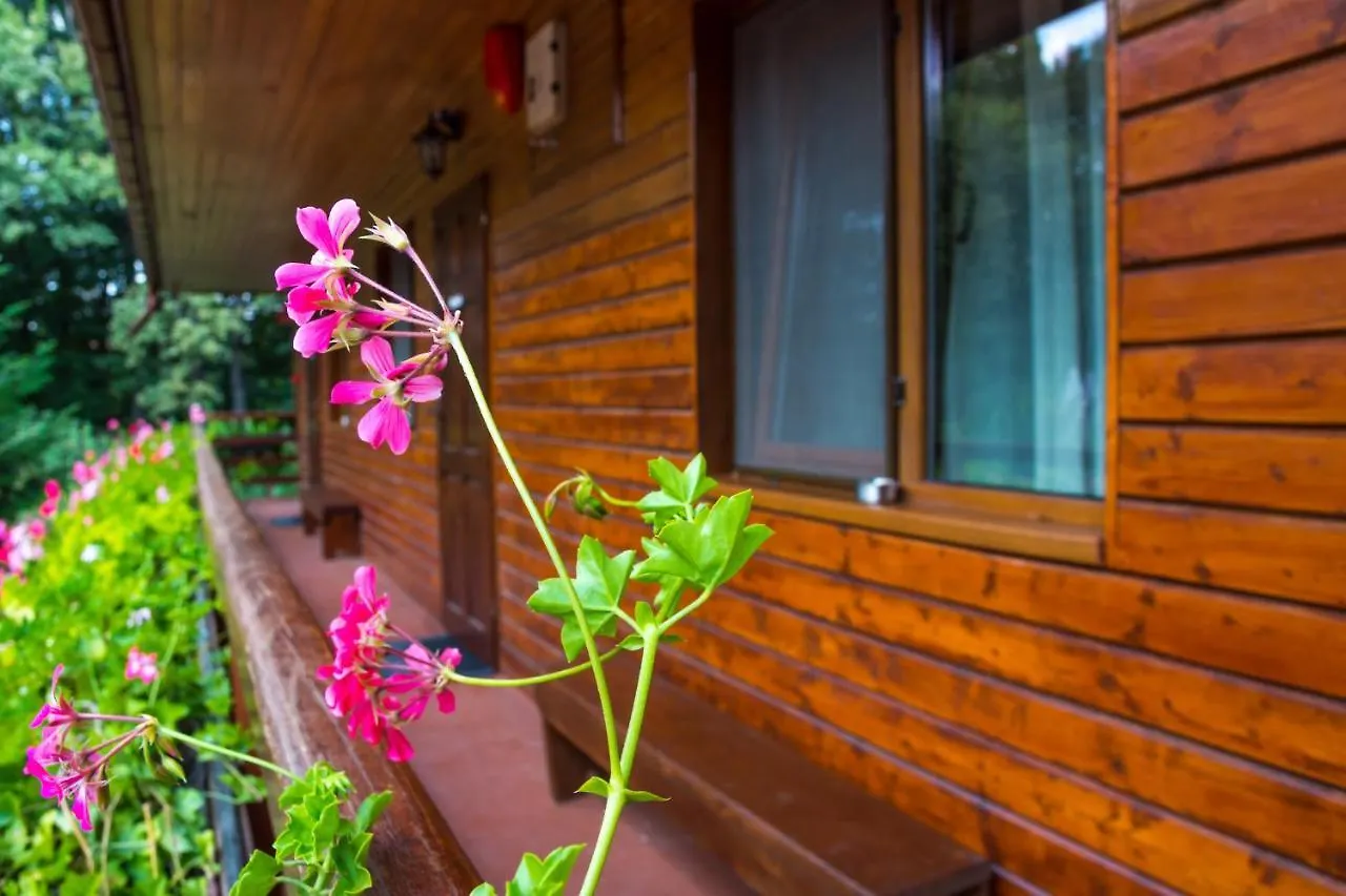 Pensiunea Casa Verde Bucuresti 3*, Boekarest Roemenië